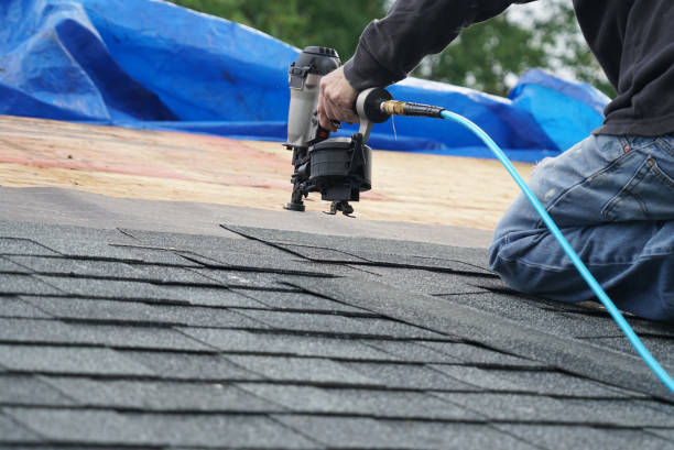 Best Roof Leak Repair  in Madison, IN